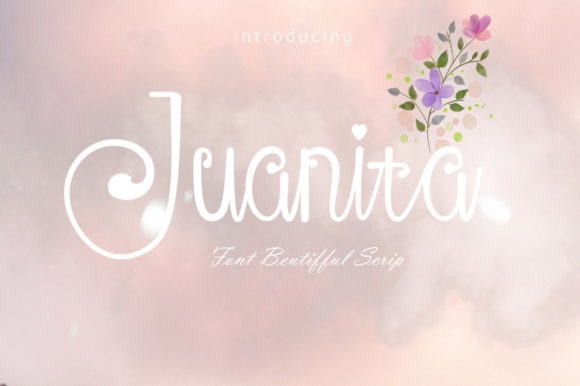 Juanita Font: Elegant Script for Digital Campaigns