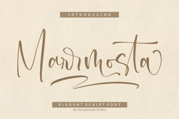 Marrmosta: Elegant Script Font for Business