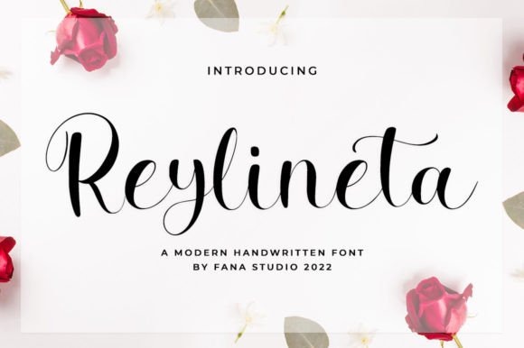 Reylineta: A Stylish Font for Creative Projects